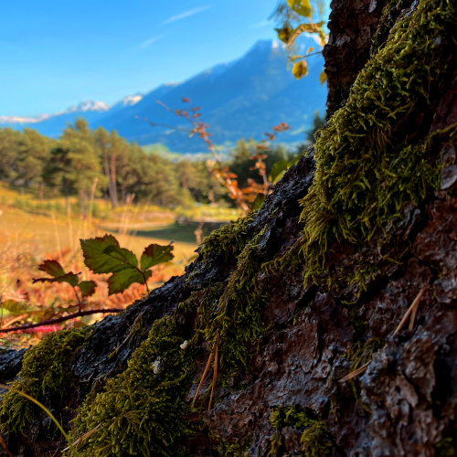 Herbstbild Trenkwalder Marietta