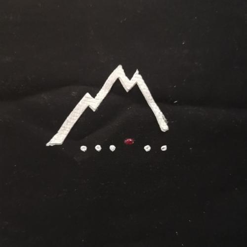 MNS