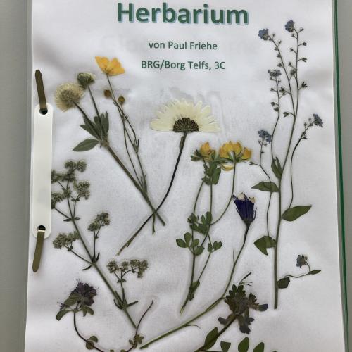 Herbarium 2