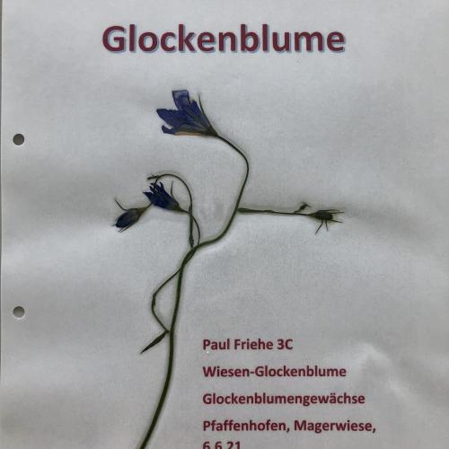 Herbarium 3