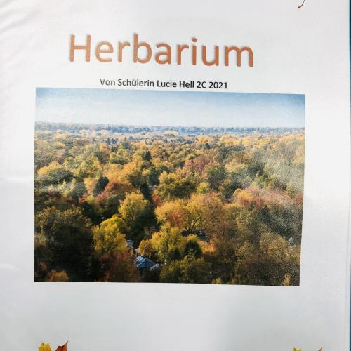 Herbarium 6