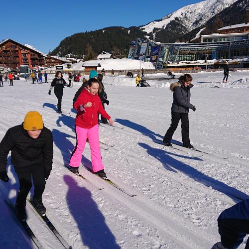 Klassische Langläufer