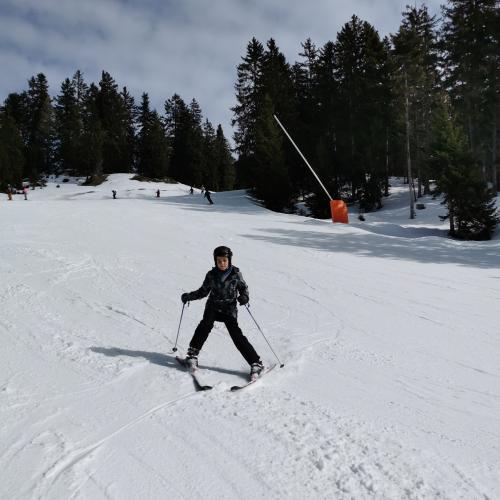 Von der Mittelstation ins Tal