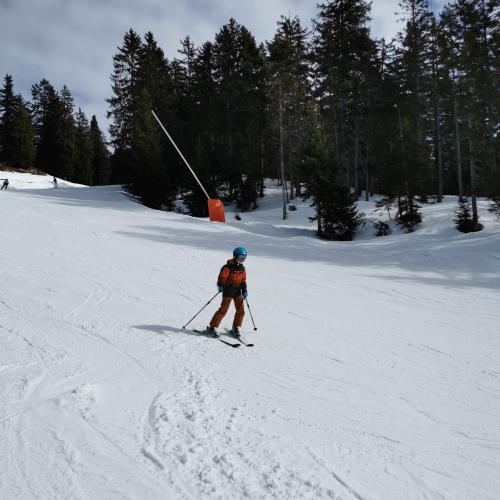 Von der Mittelstation ins Tal