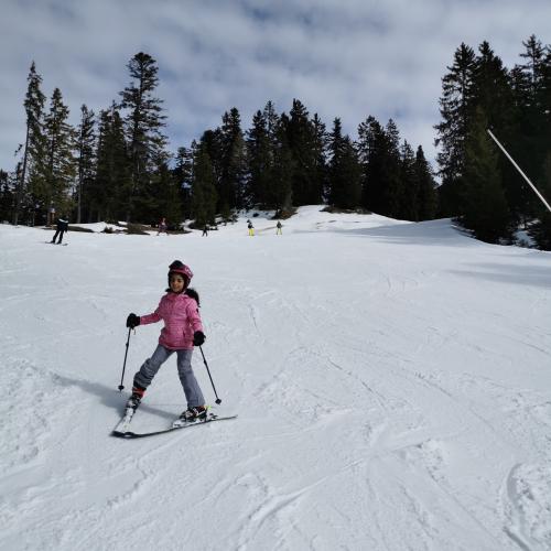 Von der Mittelstation ins Tal