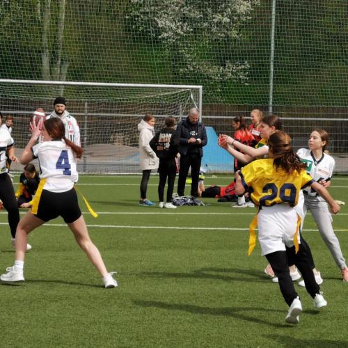 Defence gegen das Reithmann