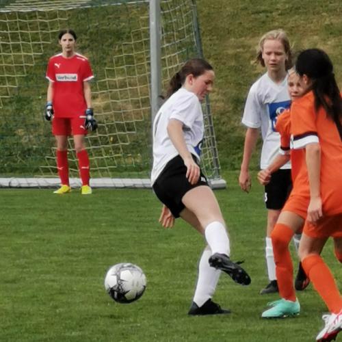 Josefine mit vollem Einsatz