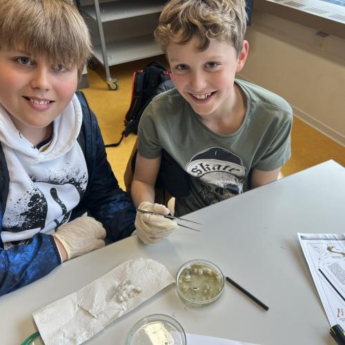 Biologieunterricht