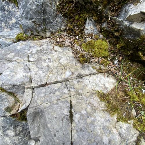 Geisterklamm