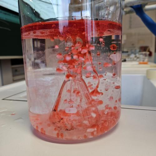 Slime8