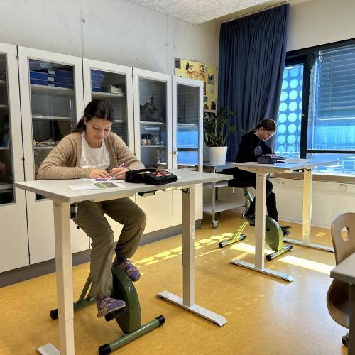 Desk2