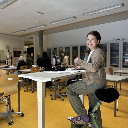 Desk4