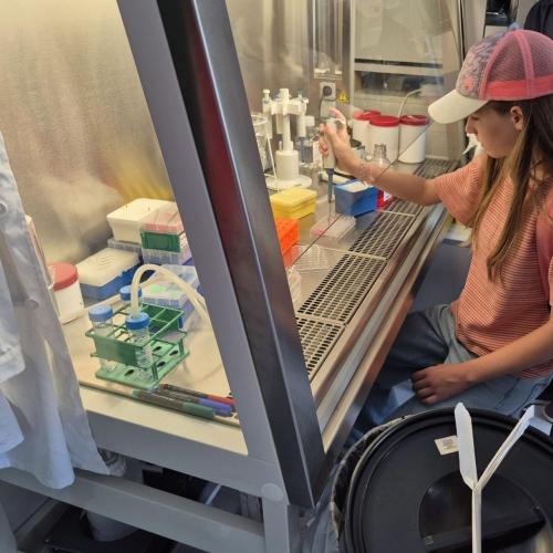 Arbeiten im Labor