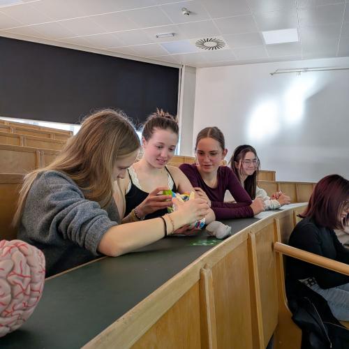 SchülerInnen beim Gehirn zerlegen