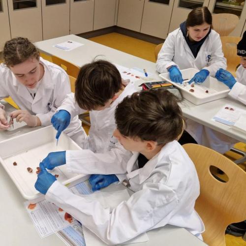 Gemeinsames Arbeiten