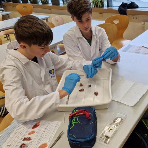 Arbeiten mit Sezierbesteck