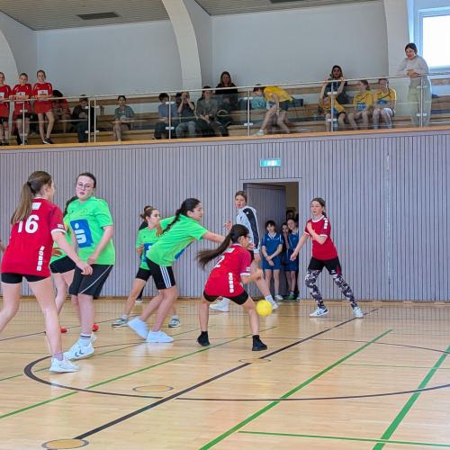 Gegenwehr des BRG Telfs