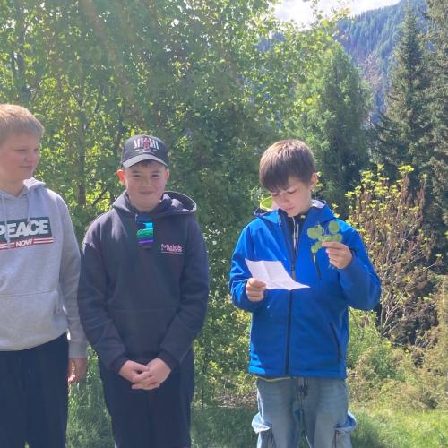 NWT 3a