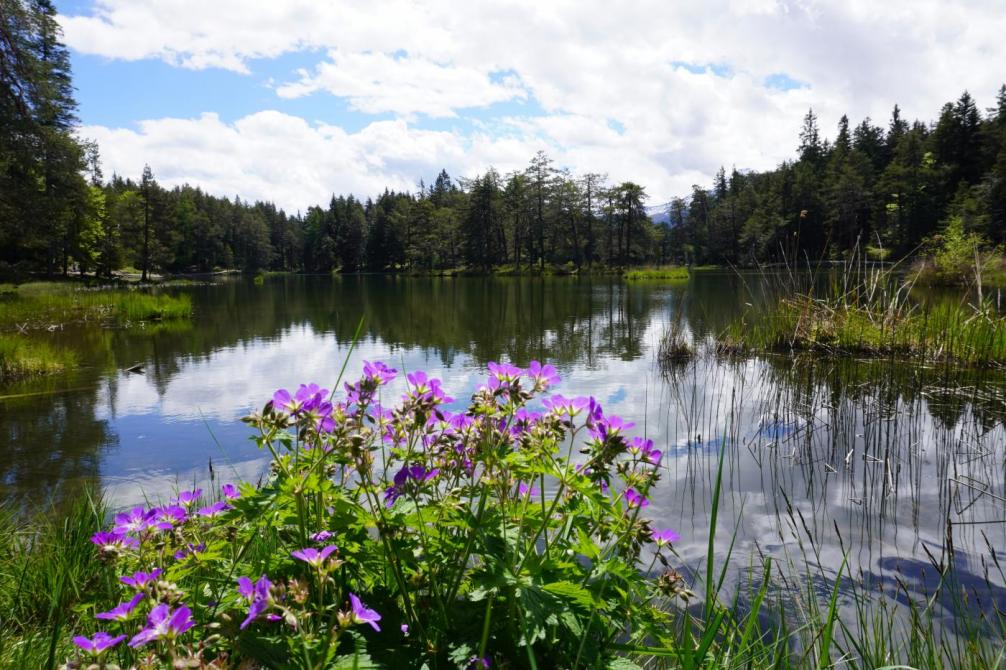 Möserer See