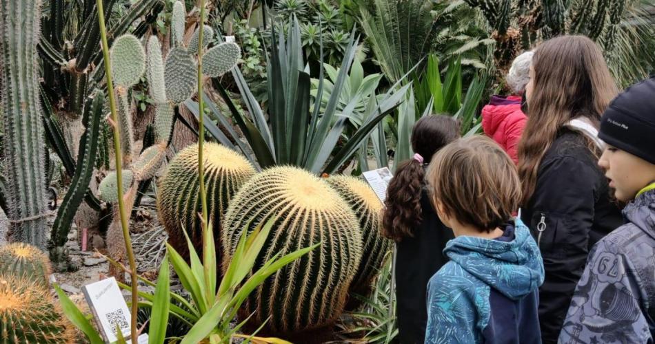 Botanischer Garten01