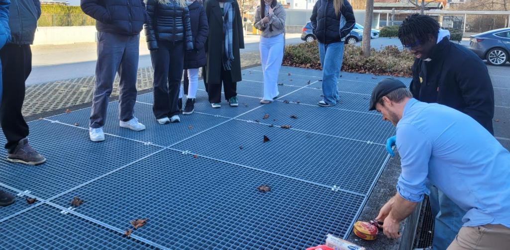 7a Surströmming Verkostung