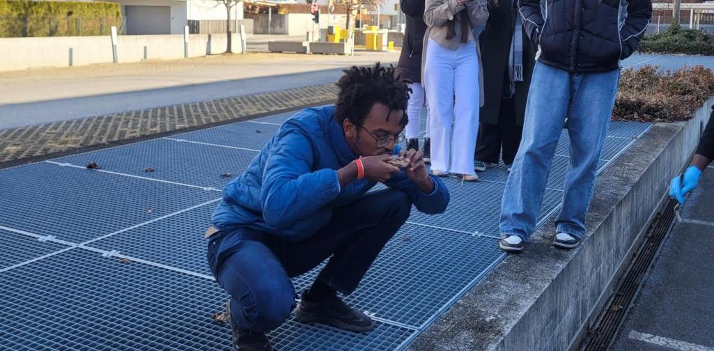 7a Surströmming Verkostung